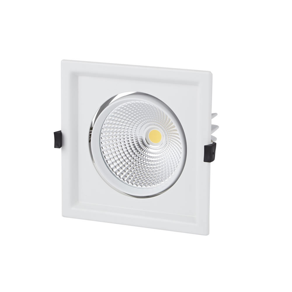 Biard Faretto LED 30W Bianco da Incasso Orientabile