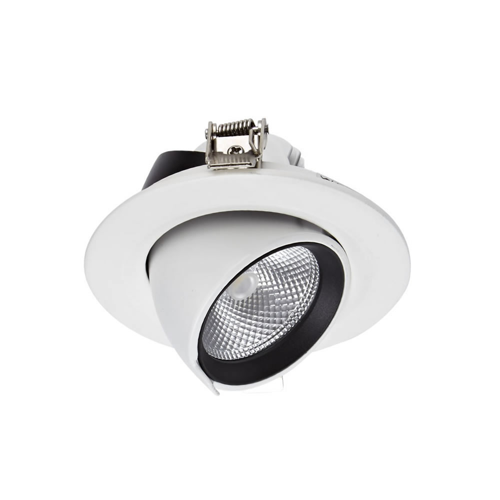 Biard Faretto LED Downlight 10W Bianco da Incasso Orientabile