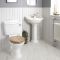 Set Bagno Tradizionale Completo di Sanitario Monoblocco e Lavabo con Colonna - Ryther
